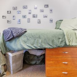 UA Lakeside Suite